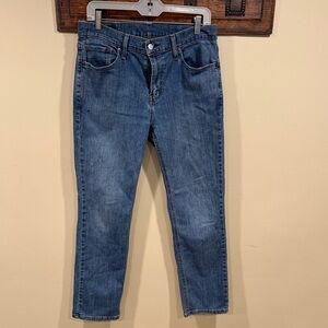 Levi's Men's Straight Fit Blue Jeans